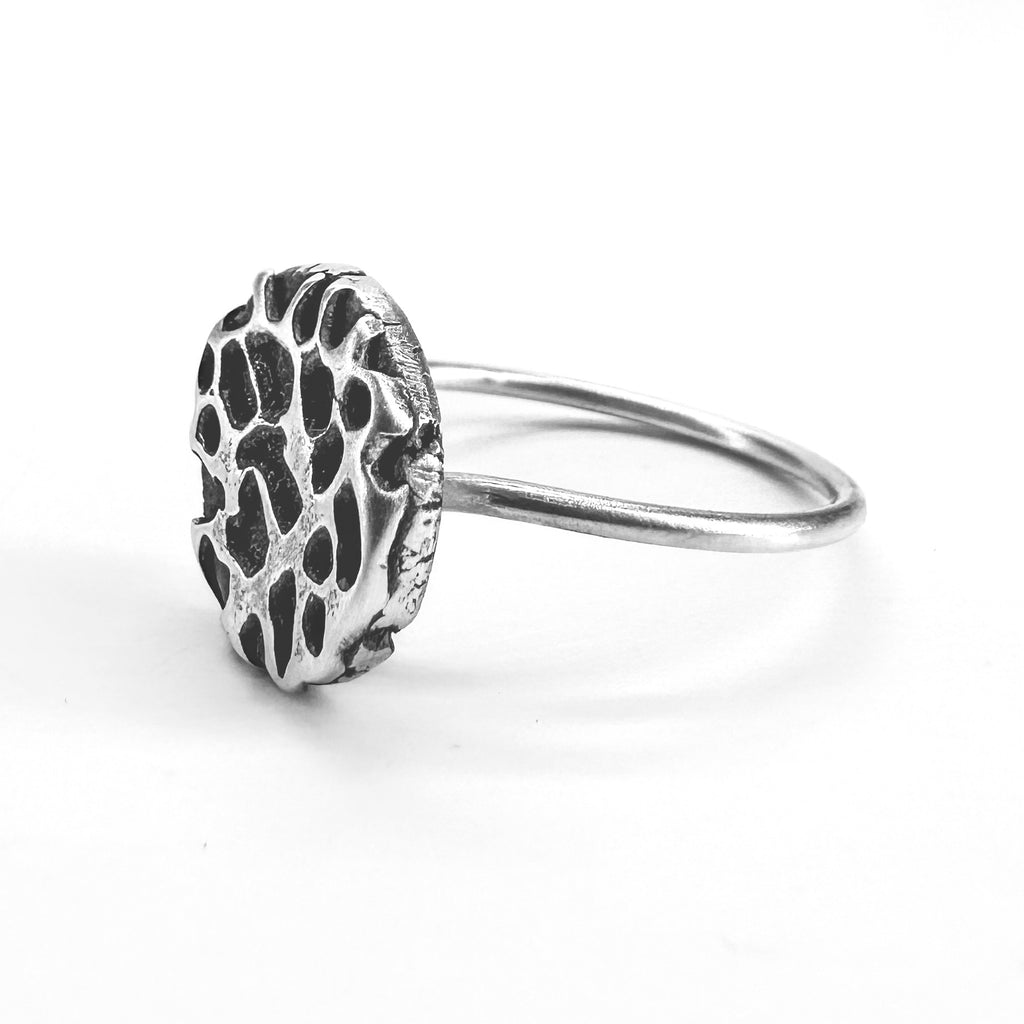 Lunar Surface Ring