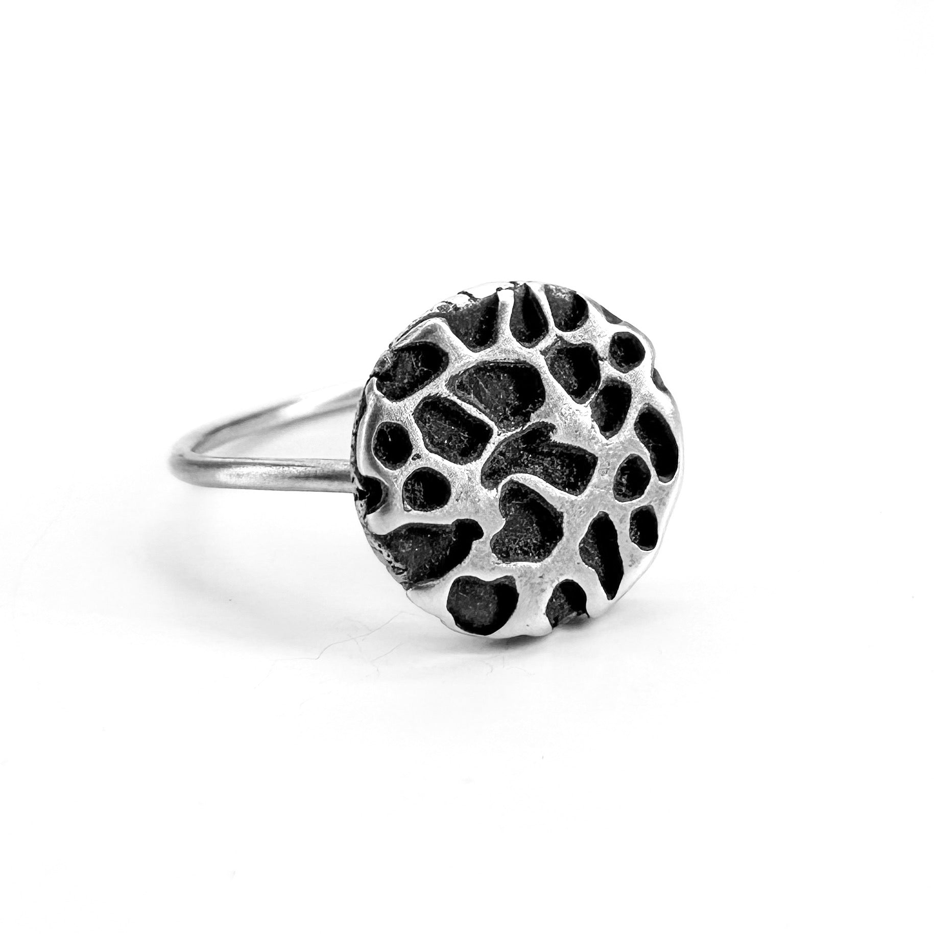 Lunar Surface Ring