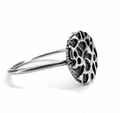 Lunar Surface Ring