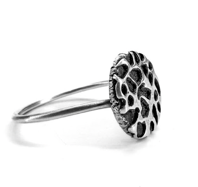 Lunar Surface Ring